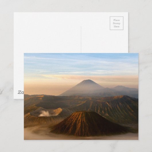 Broom koppelen briefkaart (Voorkant / Achterkant)