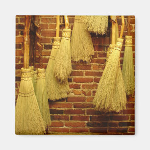 Broom Magneet