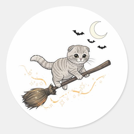 Broomstick Fold – Schattigee Schotse Fold Cat Hall Ronde Sticker (Voorkant)