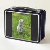 Brotbox Metallbox Brotdose Aufbewahrung (Achterkant)