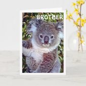 BROTHE THIS "KOALA BIRTHDAY CARD IS JUST FOR YOU KAART (Gele Bloem)