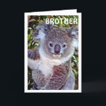 BROTHE THIS "KOALA BIRTHDAY CARD IS JUST FOR YOU KAART<br><div class="desc">HAPPY BIRTHDAY you MY BROTHER - FROM This CUTE Koala is up in his tree!!!!</div>