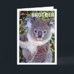BROTHE THIS "KOALA BIRTHDAY CARD IS JUST FOR YOU KAART<br><div class="desc">HAPPY BIRTHDAY you MY BROTHER - FROM This CUTE Koala is up in his tree!!!!</div>