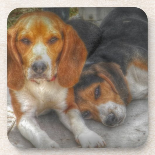 Brother Beagles Onderzetter (Voorkant)