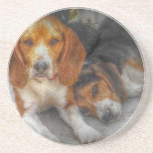 Brother Beagles Zandsteen Onderzetter (Voorkant)