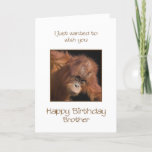 Brother Birthday, Orang Utan Kaart<br><div class="desc">Geef je broer een juweel aap van een verjaardagskaart. Een verjaardagskaart voor je eigen topbanaan! Een baby orang-oetan ziet er schattig uit.</div>