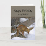 Brother Deserve Wonderful Birthday Fox Animal Kaart<br><div class="desc">Fun Brother Birthday Je verdient het dat Wonderful Birthday Fox iets intens bekijkt. Een geweldige kaart voor iemand die van dieren en vossen houdt.</div>