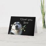 Brother Happy Birthday Kaart Funny<br><div class="desc">Dit is een schattige Happy Birthday-kaart voor je broer. Een mooie Husky met een olijftak. Vertel je Bro,  "Olive" (ik hou van) je op zijn verjaardag!</div>