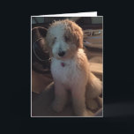 *BROTHER* IK DRIJF VOOR MELDEN VOOR JE GROTE DAG KAART<br><div class="desc">Ik hou van deze kaart en ik hoop dat je het ook doet :) Onthoud dat je het kunt veranderen in elke leeftijd en elke persoon in 'jouw leven'. Veel plezier en maak een glimlach op het gezicht van de verjaardag. BEDANKT voor een van mijn acht winkels!!</div>