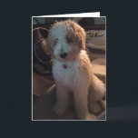 *BROTHER* IK DRIJF VOOR MELDEN VOOR JE GROTE DAG KAART<br><div class="desc">Ik hou van deze kaart en ik hoop dat je het ook doet :) Onthoud dat je het kunt veranderen in elke leeftijd en elke persoon in 'jouw leven'. Veel plezier en maak een glimlach op het gezicht van de verjaardag. BEDANKT voor een van mijn acht winkels!!</div>