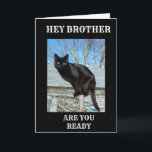 BROTHER IS "40" ZEGT DAT DE ZWARTE KAT IS KAART<br><div class="desc">BEDANKT VOOR EEN VAN MIJN ACHT STORES! DEZE "SLIMME PANTEN ZWARTE KAT" IS GEPLAATST EN ZO KLAAR OM "UW BROER" EEN HAPPY 4 OOTH BIRTHDAY TE WENSEN. HERINNER U KUNT DE VERSE BINNEN EN UIT IN SECONDEN VERANDEREN!</div>