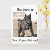 BROTHER-ITALIAANSE CANE CORSO-"HAPPY BIRTHDAY VOOR KAART (Gele Bloem)