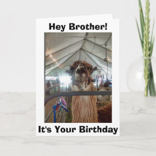 *BROTHER* LLAMA HUMOR OP UW BIRTHDAAG KAART