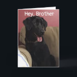 *BROTHER* U BENT DE '60e' MAAG. Kaart<br><div class="desc">HORSE KAN NIET GELOVEN DAT ZIJN BROEDER ALLEMAAL KLAAR IS OM "60th BIRTHDAY"~~~~~ BEDANKT TE CELEBRATEN VOOR EEN VAN MIJN ACHT STORES! HERINNER U ERAAN DAT U DE "LEEFTIJD" EN DE "VERSES" IN EN UIT KUNT WIJZIGEN ALS U IN SECONDEN WILT!</div>