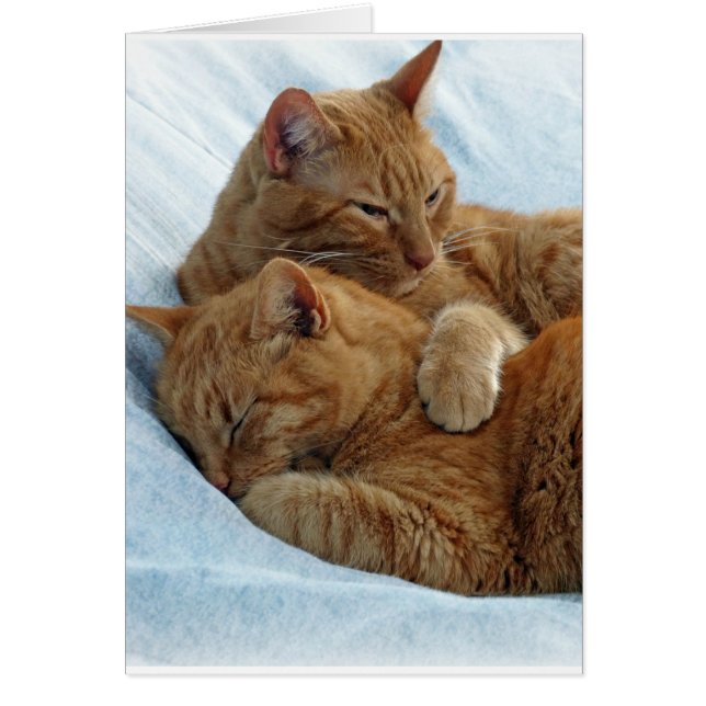 Brotherly Love (Voorkant)