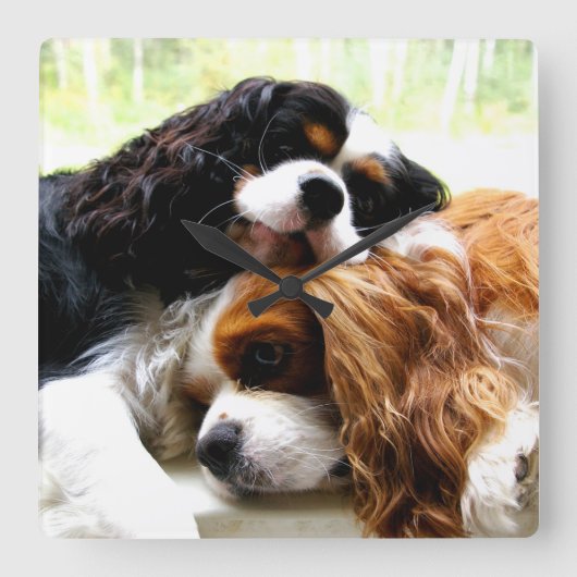 Brothers Cavaliers Clock Vierkante Klok (Voorkant)