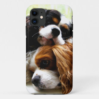 Brothers Cavaliers iPhone 5/5S Hoesje