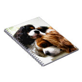 Brothers Cavaliers Notitieboek (Rechterzijde)