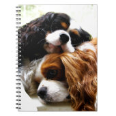 Brothers Cavaliers Notitieboek (Voorkant)