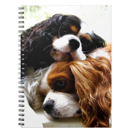 Brothers Cavaliers Notitieboek (Voorkant)