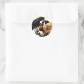 Brothers Cavaliers Ronde Sticker (Tas)
