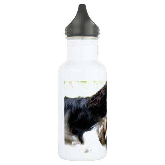 Brothers Cavaliers Waterfles (Links)