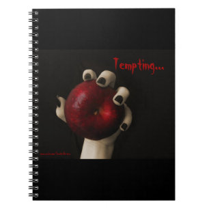 Brothers Grimm Tempting Witch Notitieboek