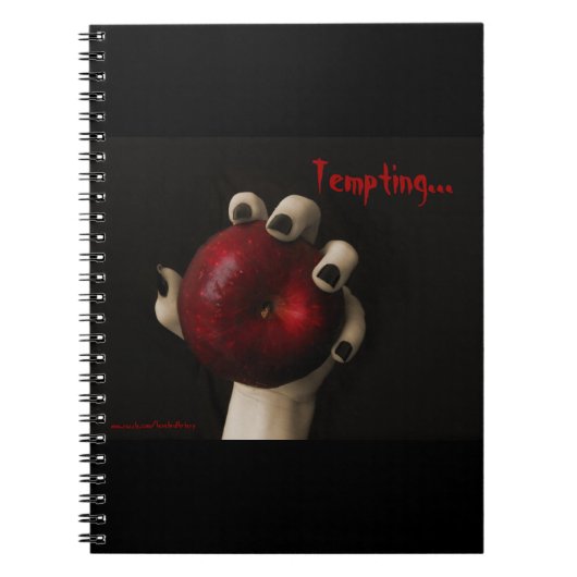 Brothers Grimm Tempting Witch Notitieboek (Voorkant)