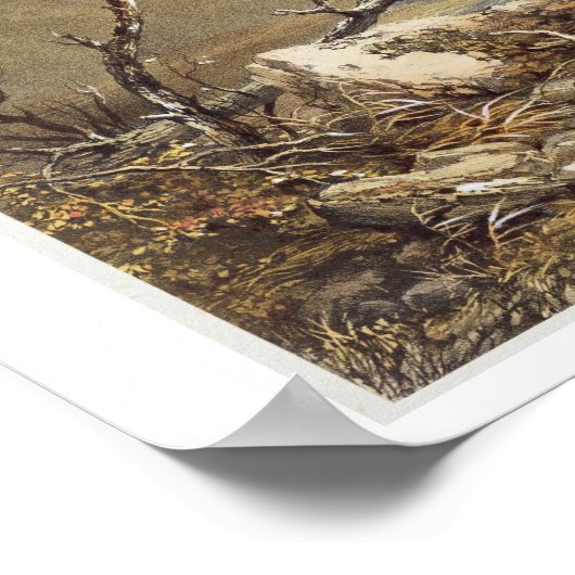 Brothers Water uit het "District van het Engelse m Poster (Hoek)