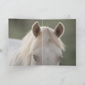 Brothers Wild Horse Wenskaart Kaart (Binnen)