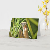 Brouwen Kaart (Gele Bloem)