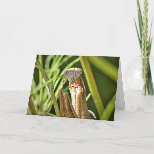 Brouwen Kaart (Voorkant)