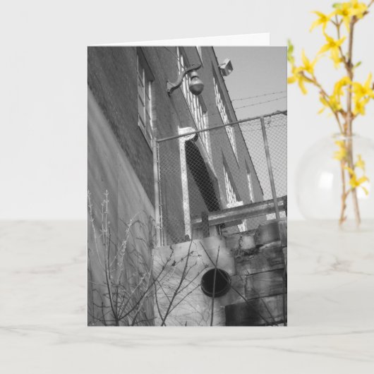 "Brouwerij van zwarte en witte hammen" Kaart van z (Gele Bloem)