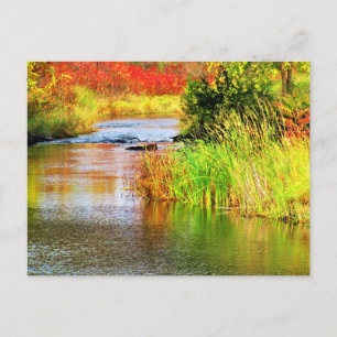 Brouwerijkreek in de herfst Zonnige dag Scenic Briefkaart