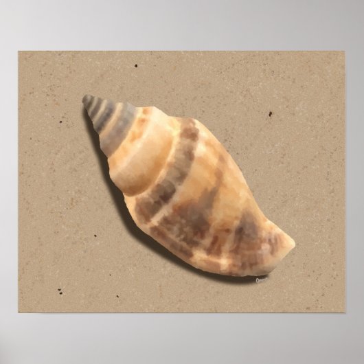 Brown and Tan Striped Conch Shell Print (Voorkant)