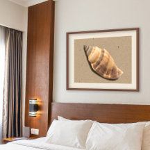 Brown and Tan Striped Conch Shell Print