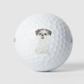 Brown and White Shih Tzu Golfballen (Voorkant)