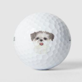 Brown and White Shih Tzu Golfballen