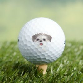 Brown and White Shih Tzu Golfballen