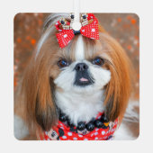 Brown and White Shih Tzu Puppy Dog Metalen Ornament (Achterkant)