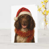 Brown and white Sprocker Spaniel Christmas card Kaart (Gele Bloem)