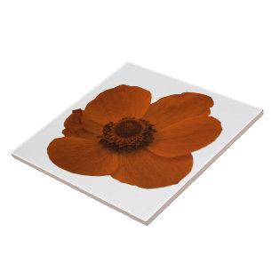 Brown Anemone Tile Tegeltje
