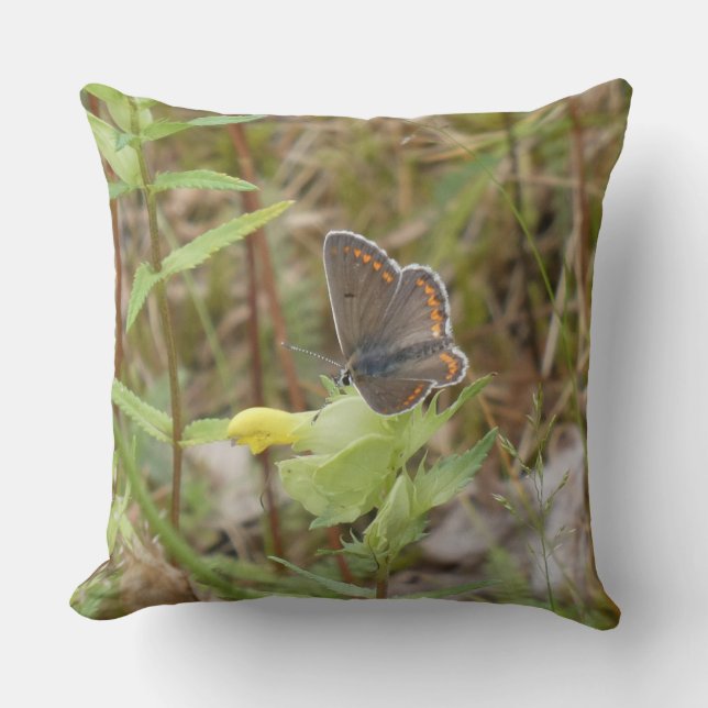 Brown Argus Butterfly Throw Pillow Kussen (Voorkant)