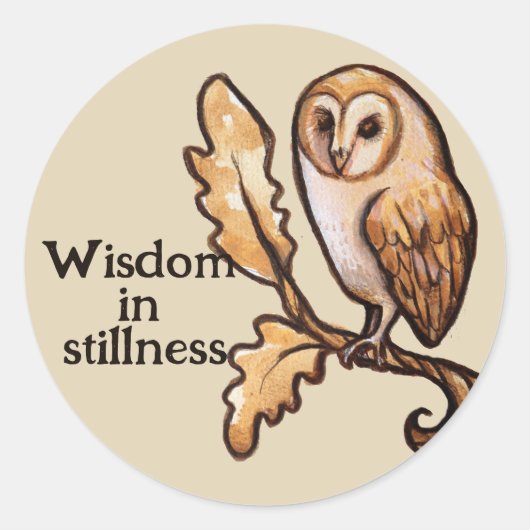 Brown Barn Owl Ronde Sticker (Voorkant)