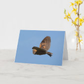 Brown Barn Owl vliegt tegen Blue Sky Kaart (Gele Bloem)