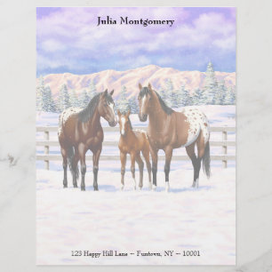 Brown Bay Appaloosa-paarden in sneeuw Briefhoofd