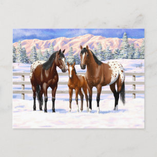Brown Bay Appaloosa-paarden in sneeuw Briefkaart