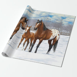Brown Bay Appaloosa-paarden in sneeuw Cadeaupapier