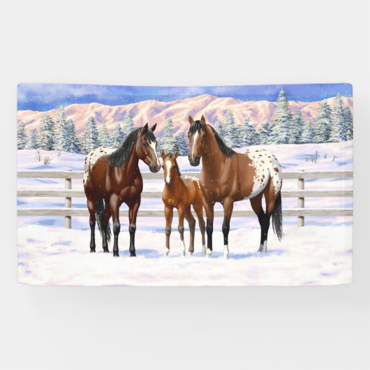 Brown Bay Appaloosa-paarden in sneeuw Spandoek (Horizontaal)