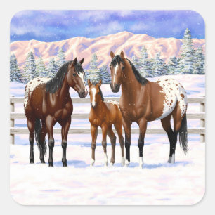 Brown Bay Appaloosa-paarden in sneeuw Vierkante Sticker